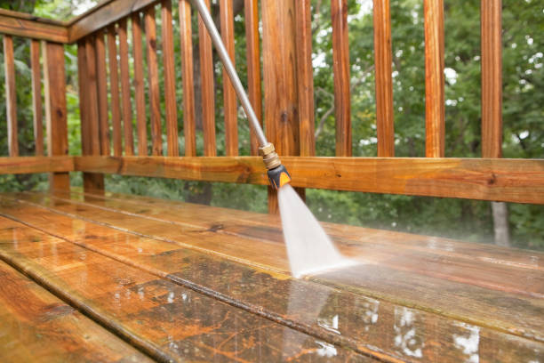 Animal Enclosure Cleaning in Alexandria, IN